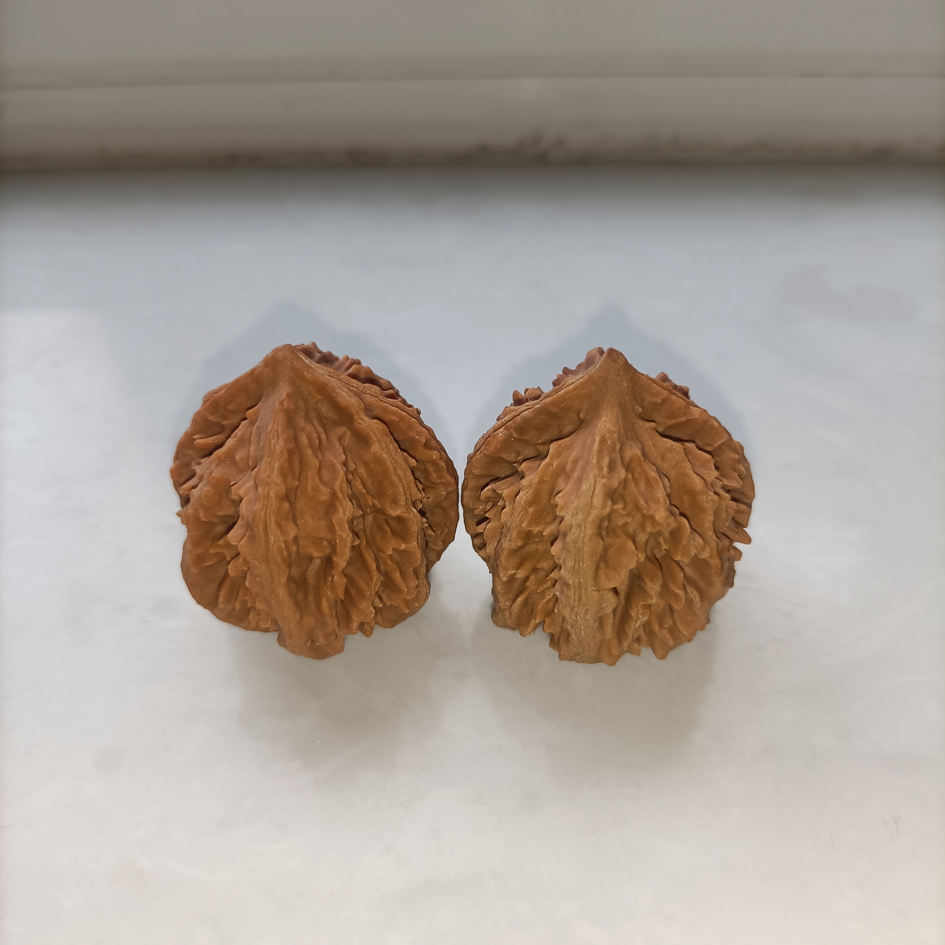 秦岭山地原生态霸王龙秋子核桃