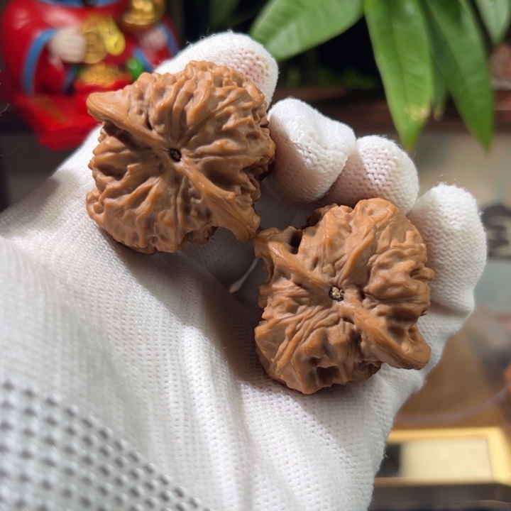 文玩核桃吊坠兴*?野狼