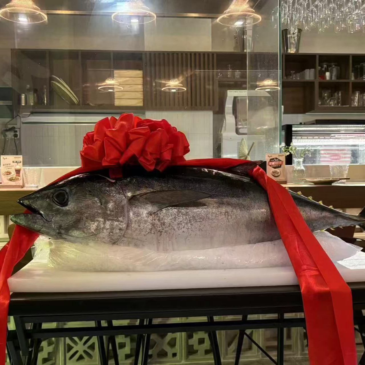 海钓蓝鳍金枪鱼大腹中腹刺身超低温生鱼片现场分割