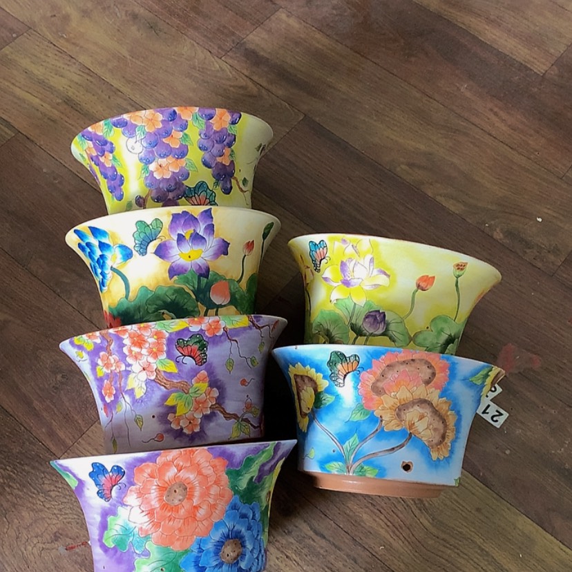 【闪购商品】?*圆向日葵特价出50