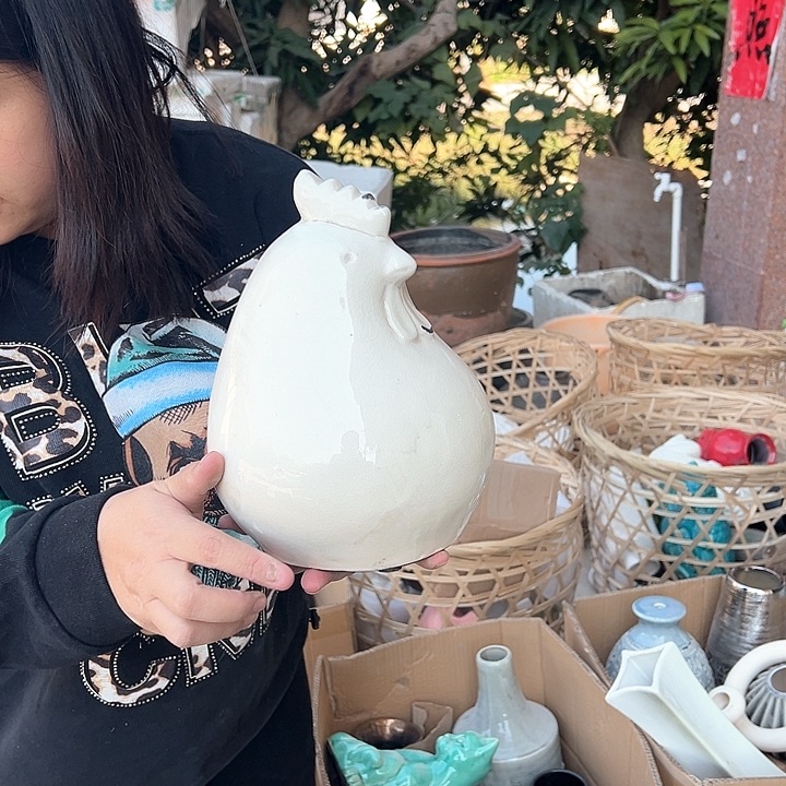 瓶高度25厘米宽度18厘米微瑕捡漏