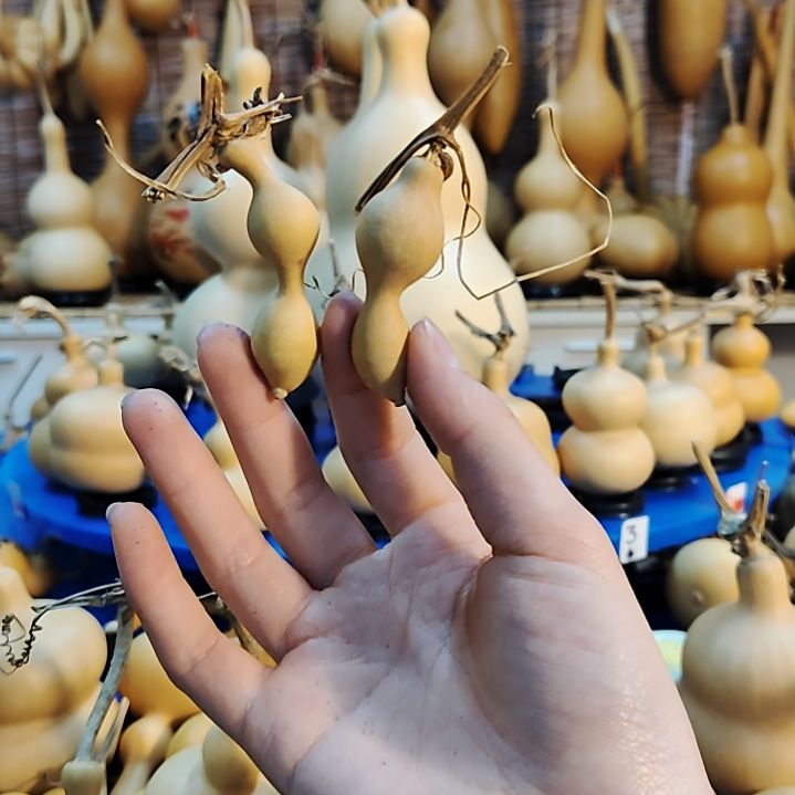 可***茶他他他他他他他他他他