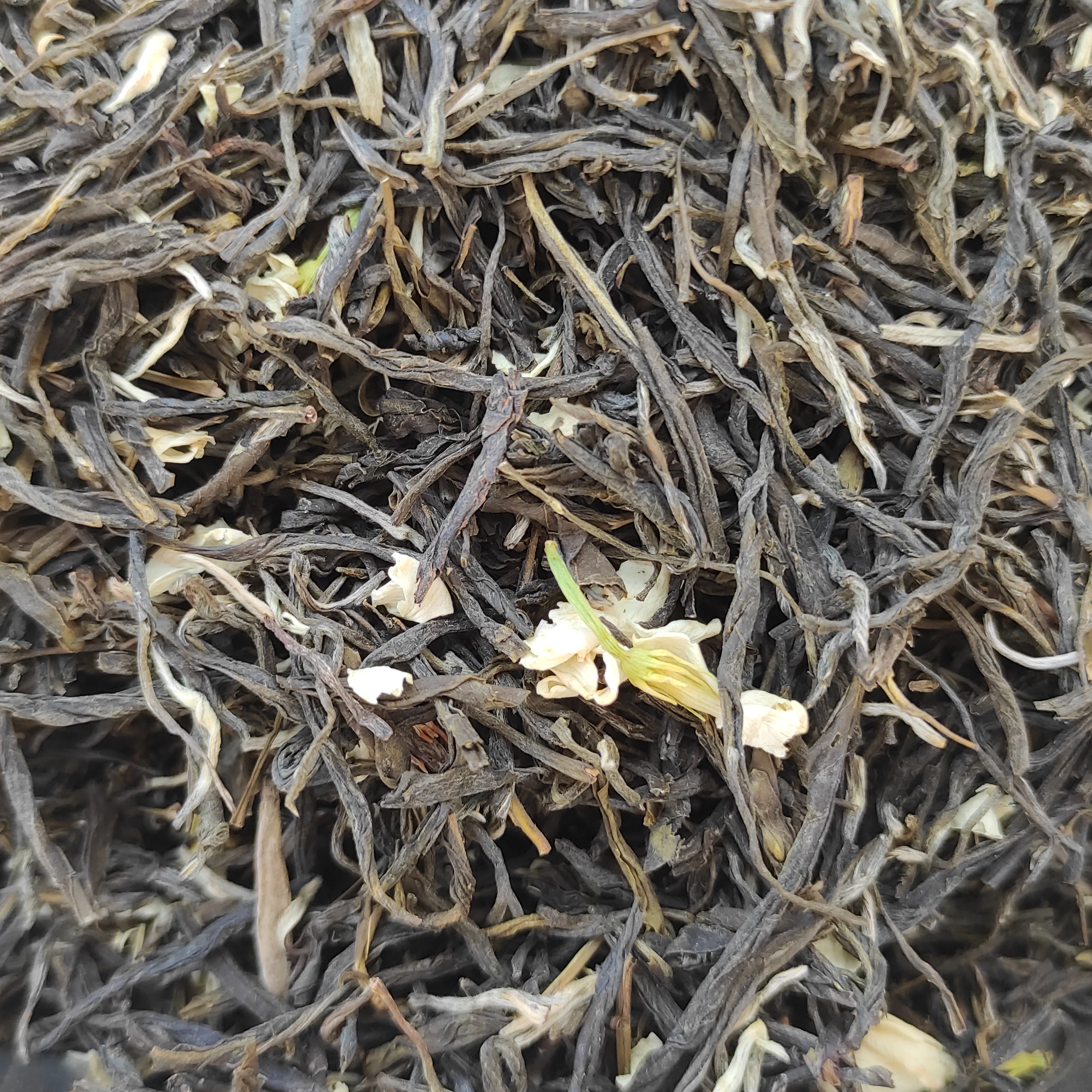实拍茉莉花茶茉莉黑香针茉莉黑美人口粮茶散装罐装上等茉莉花茶