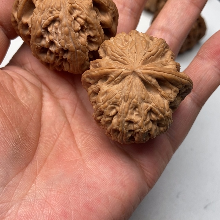 是***）桃核吊坠粗筋8888888888888