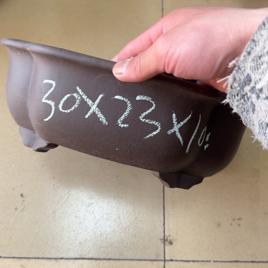 紫砂花盆呜呜呜呜