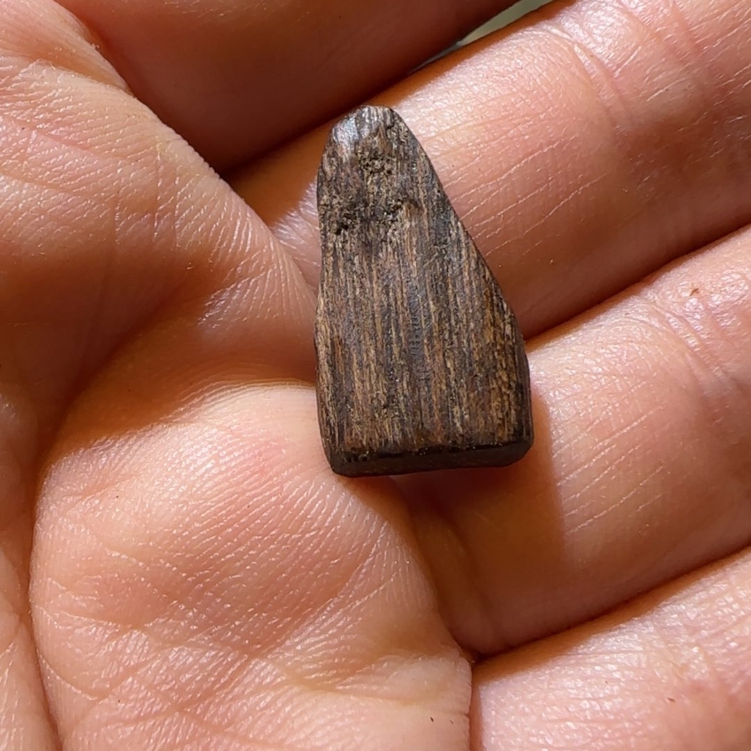 沉香沉香碎屑0.35克菩萨奇9分沉金丝油兰花香