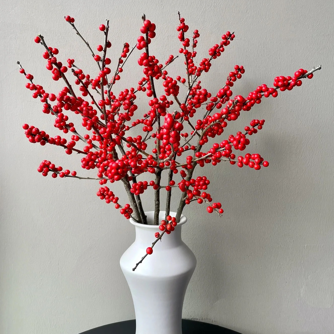 【草花】冬青 任拍下三单顺丰空运包邮鲜切花家居花店插花