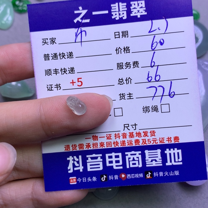 翡翠颈饰未镶嵌布*