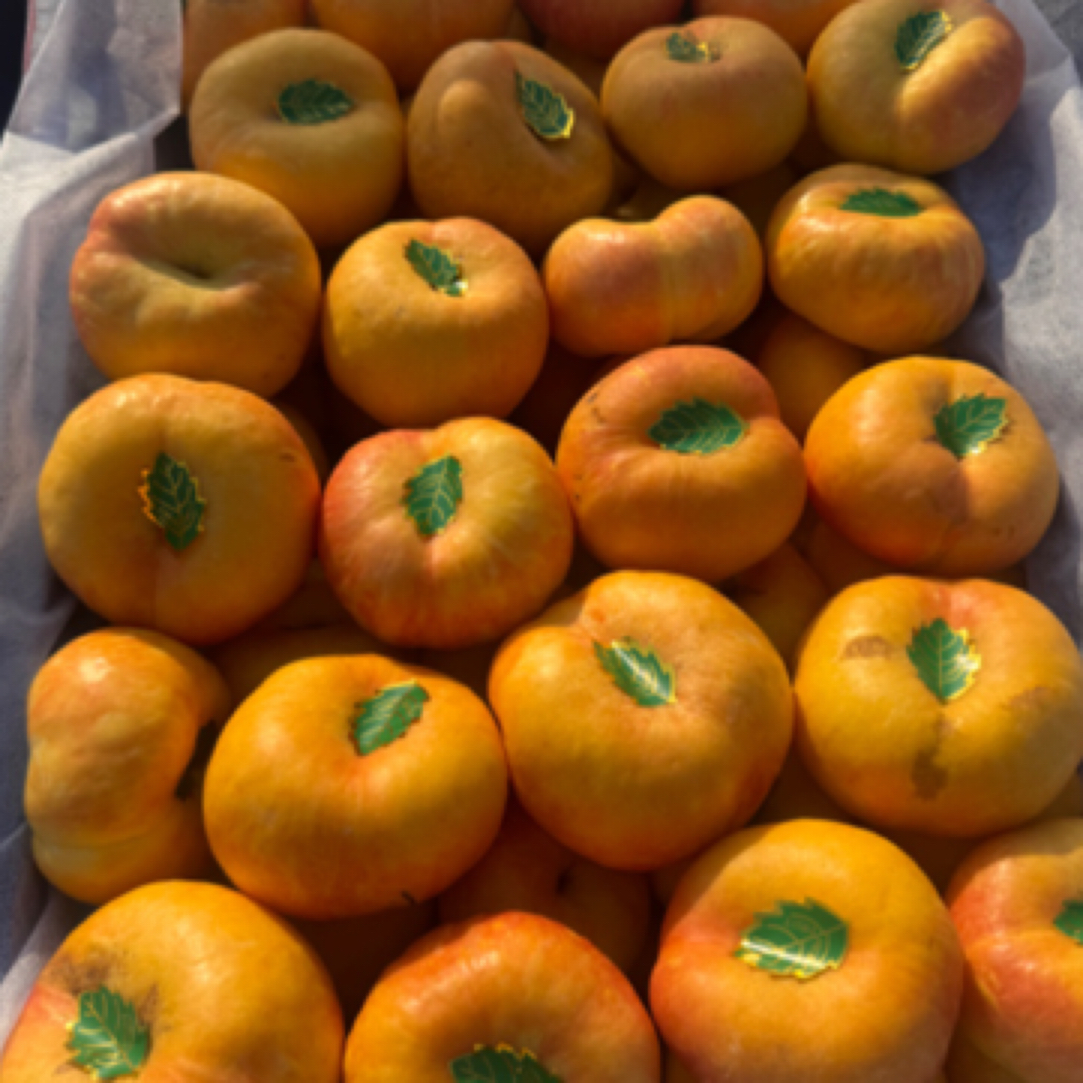 黄金彩虹蟠桃新鲜水果，当季整箱脆甜可软蒙阴蜜桃彩虹油蟠桃4斤装当季新鲜水果桃子北京市北京市