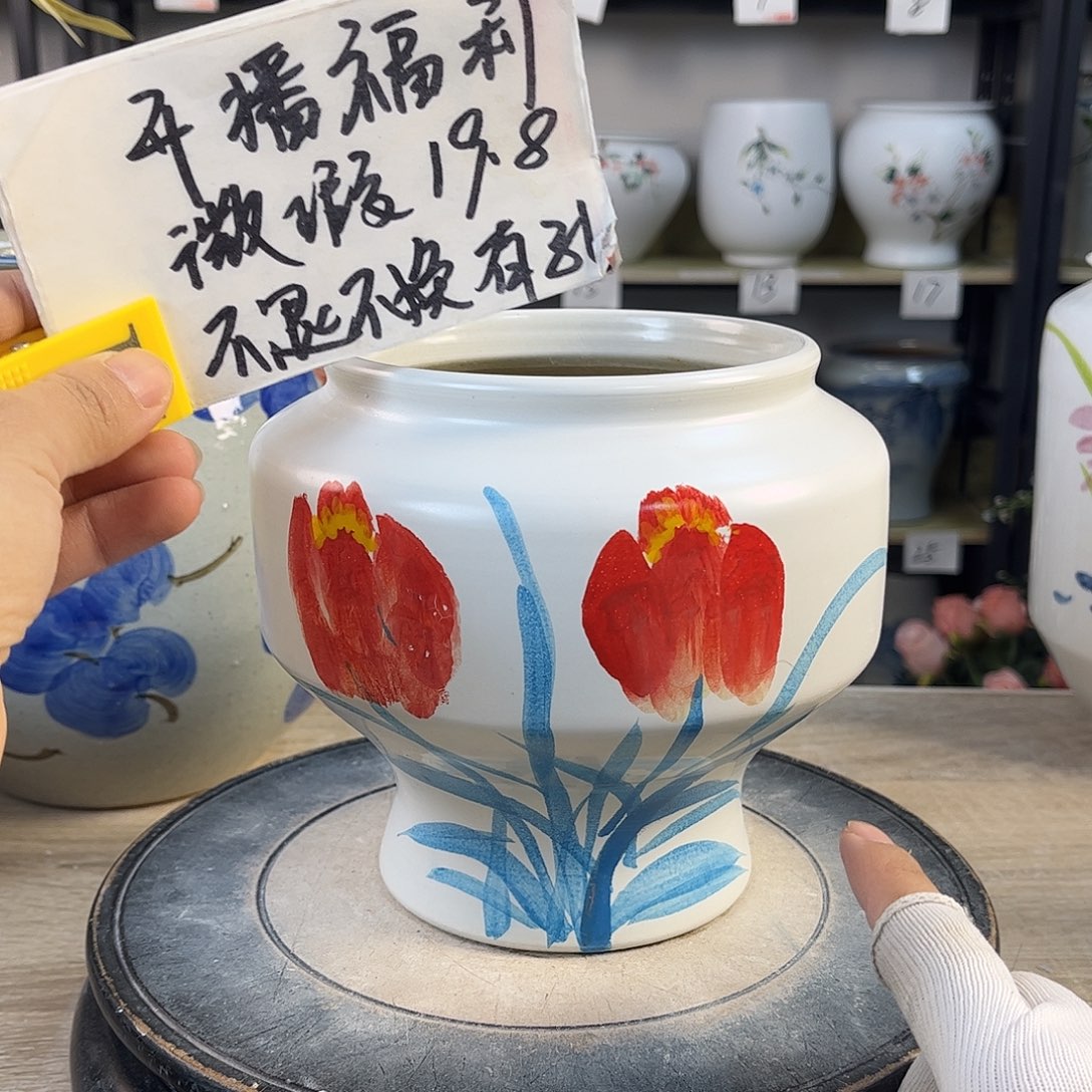 罐1xc景德镇陶瓷花瓶