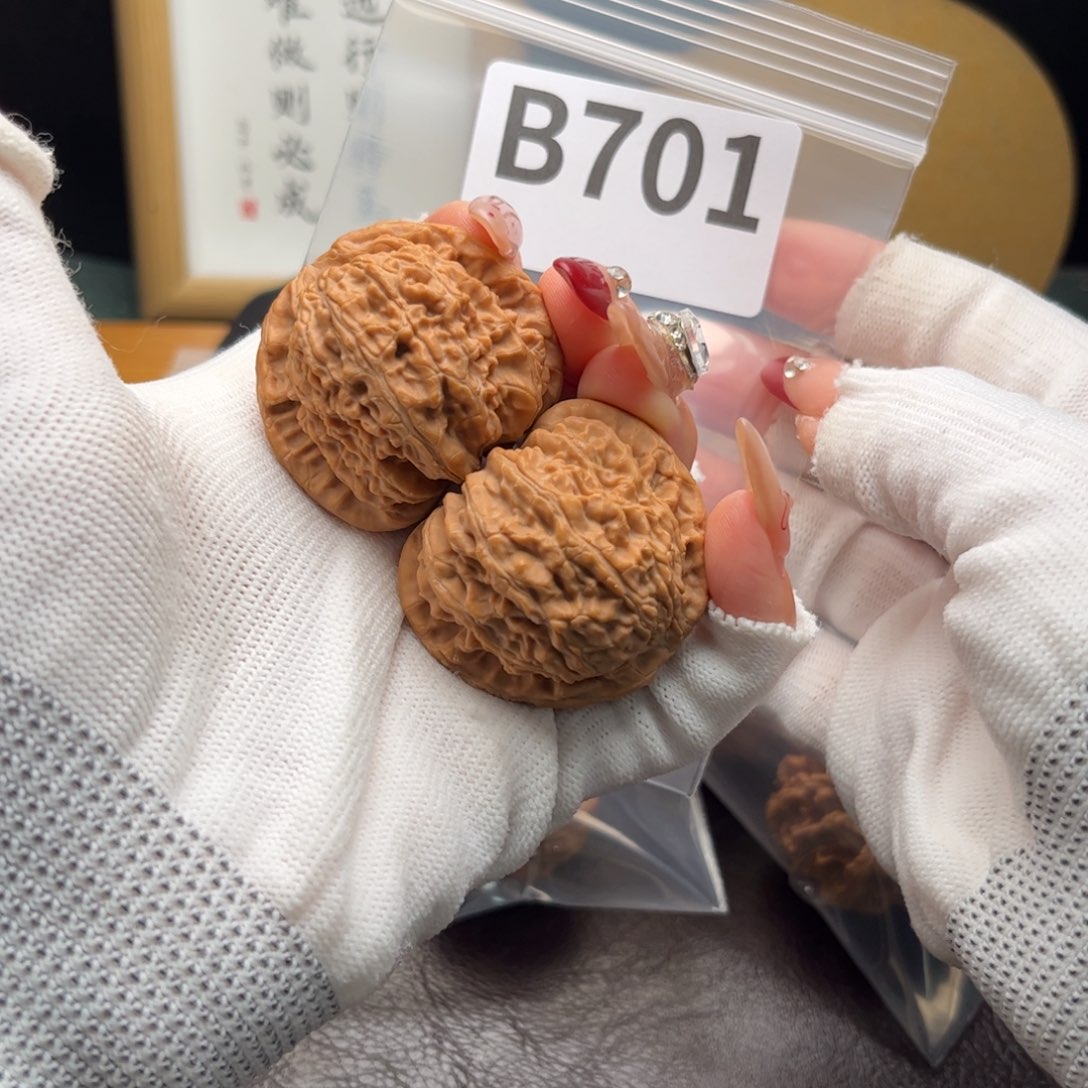 文玩核桃把件40白狮子b 701