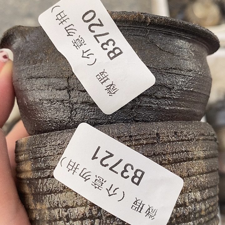 柴烧柴烧柴烧柴烧