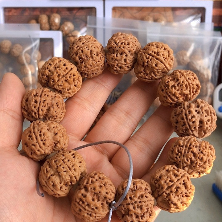 金刚菩提吊坠粗筋古龙梅花27