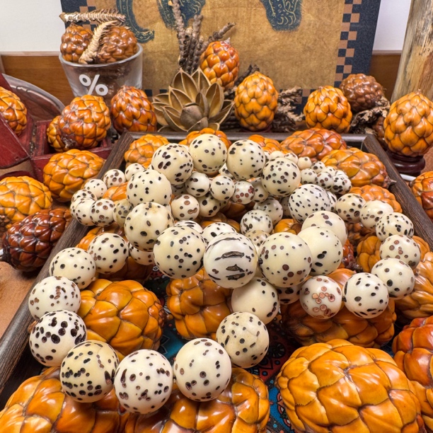 【芥舟藏舍】粉酒椰菩提手持念珠瓷面抛光天然原色盘手串素串盘玩