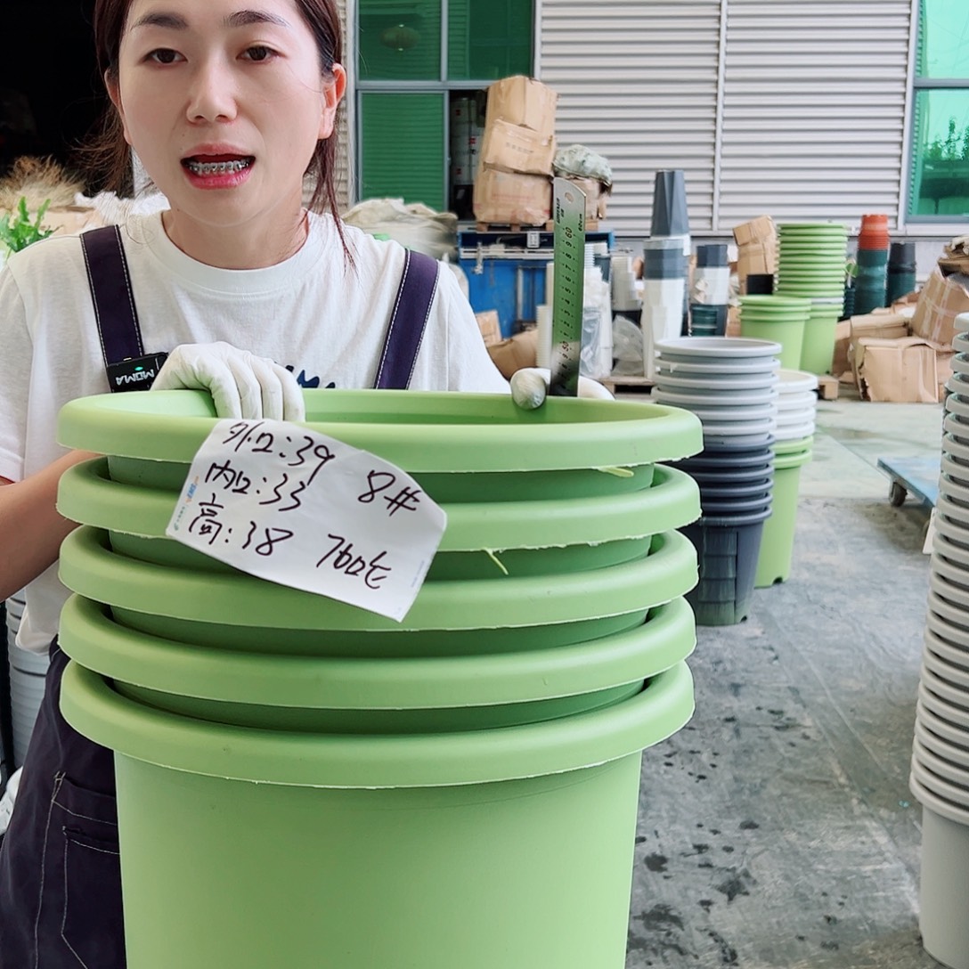 四季盆8#果绿5个无托