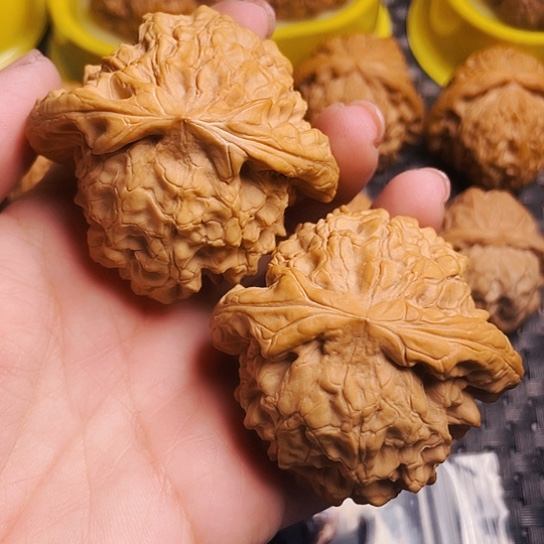 文玩核桃55尺大龙鼎