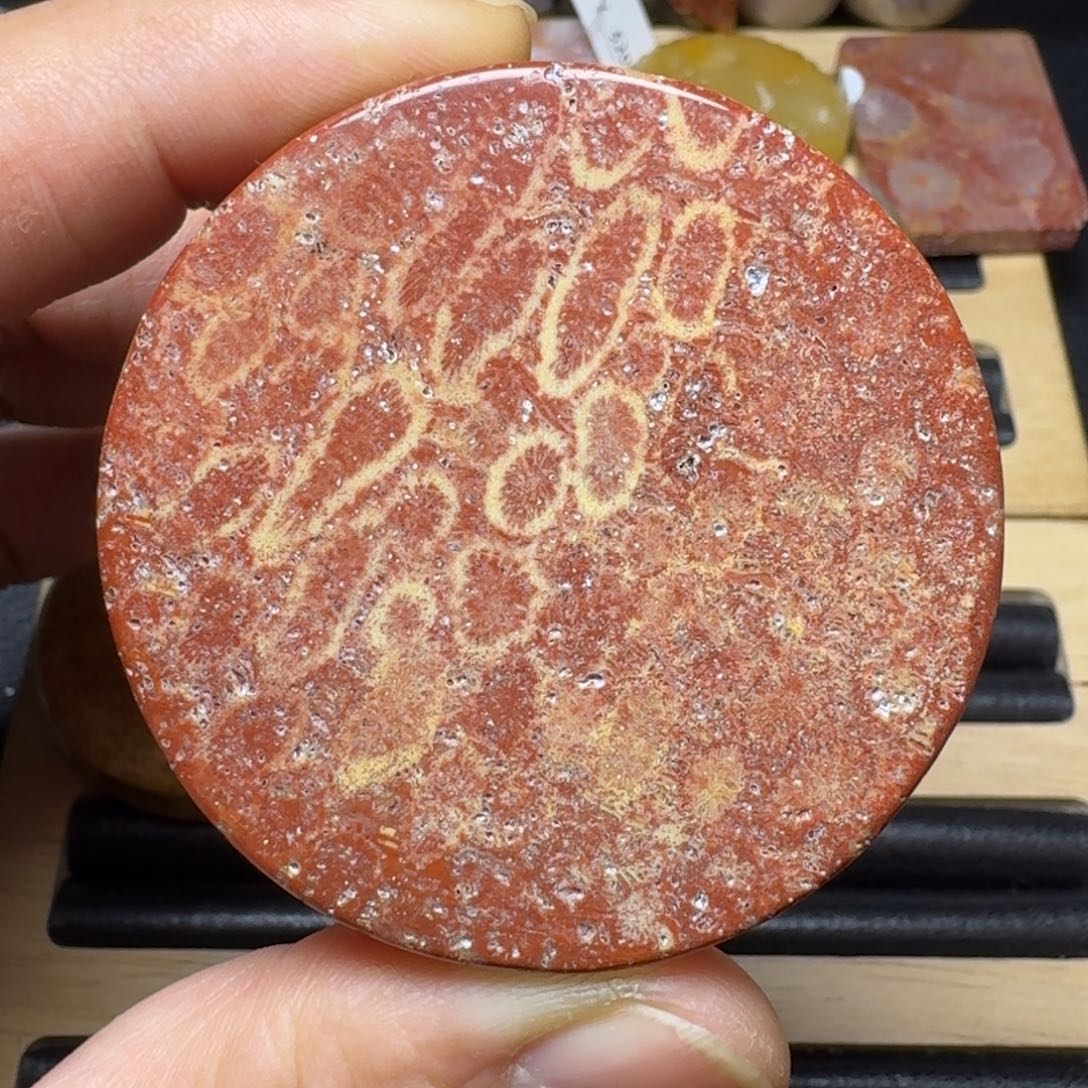 硅化珊瑚（珊瑚玉）纯天然色有机玉石手镯芯未镶嵌