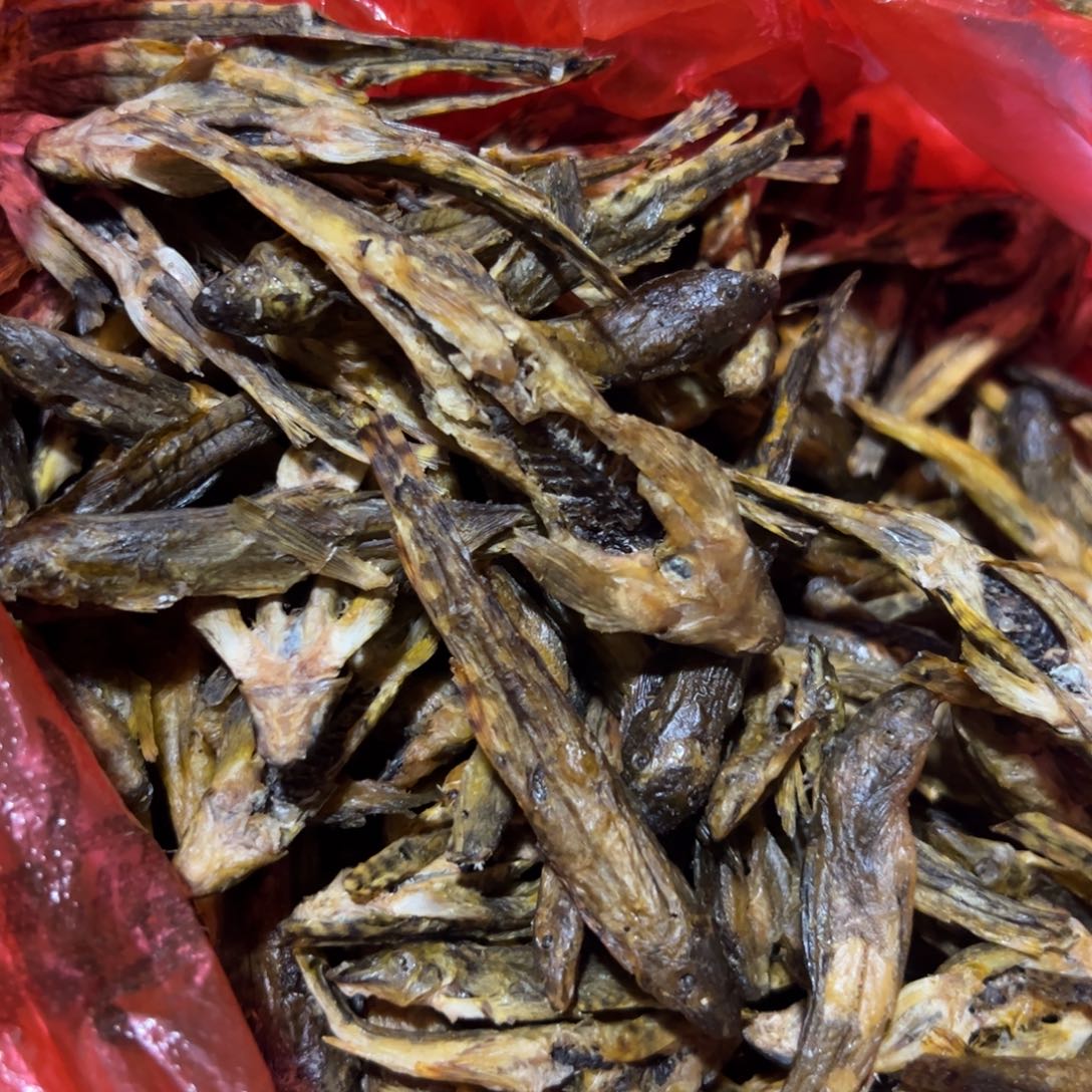 中国大陆爬石鱼干
