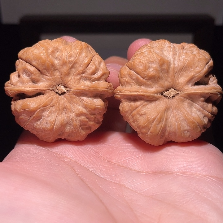 核桃手串/手链2405