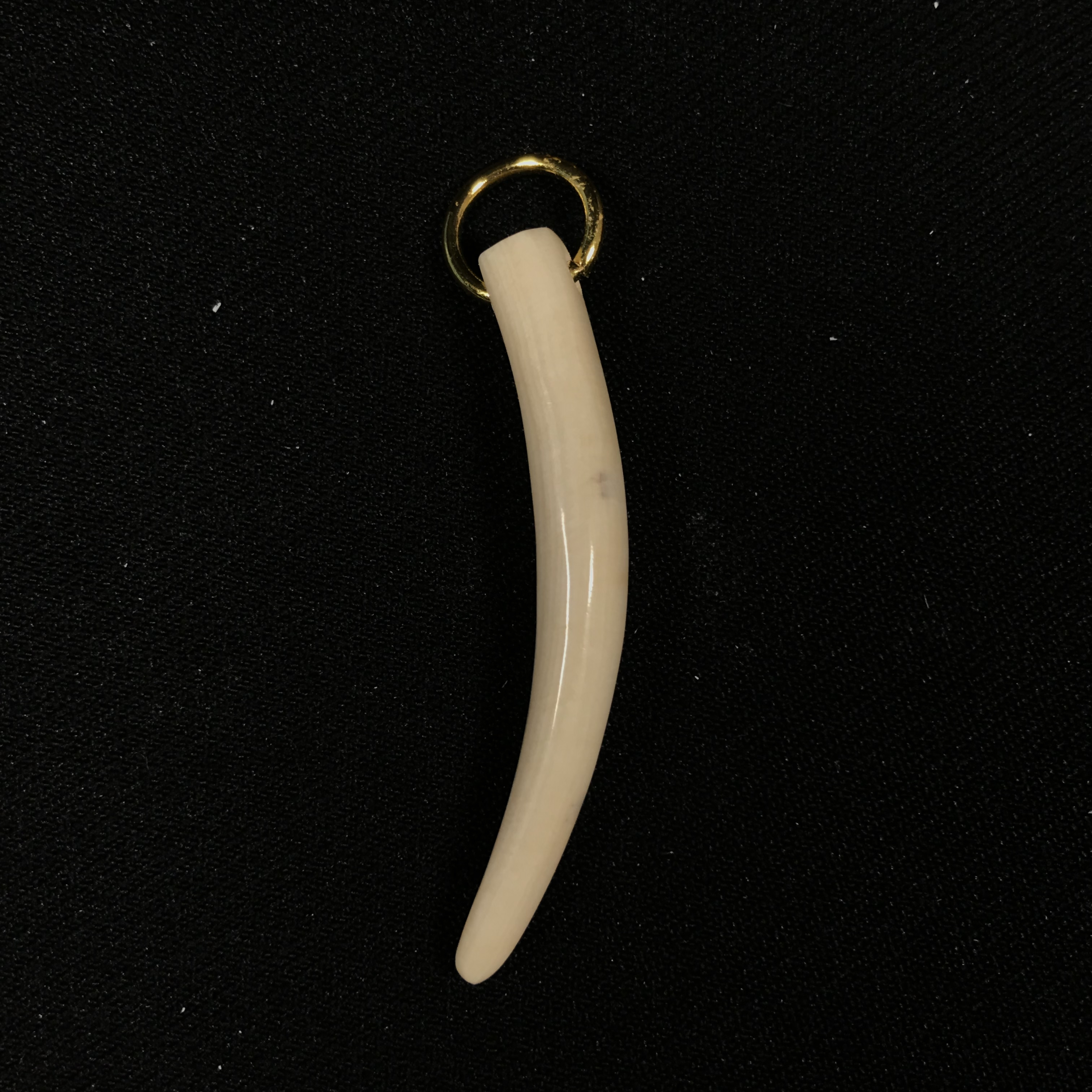 J123121 只做天然猛犸牙 牙尖 约长45*宽7.5*厚5mm 约2.4克