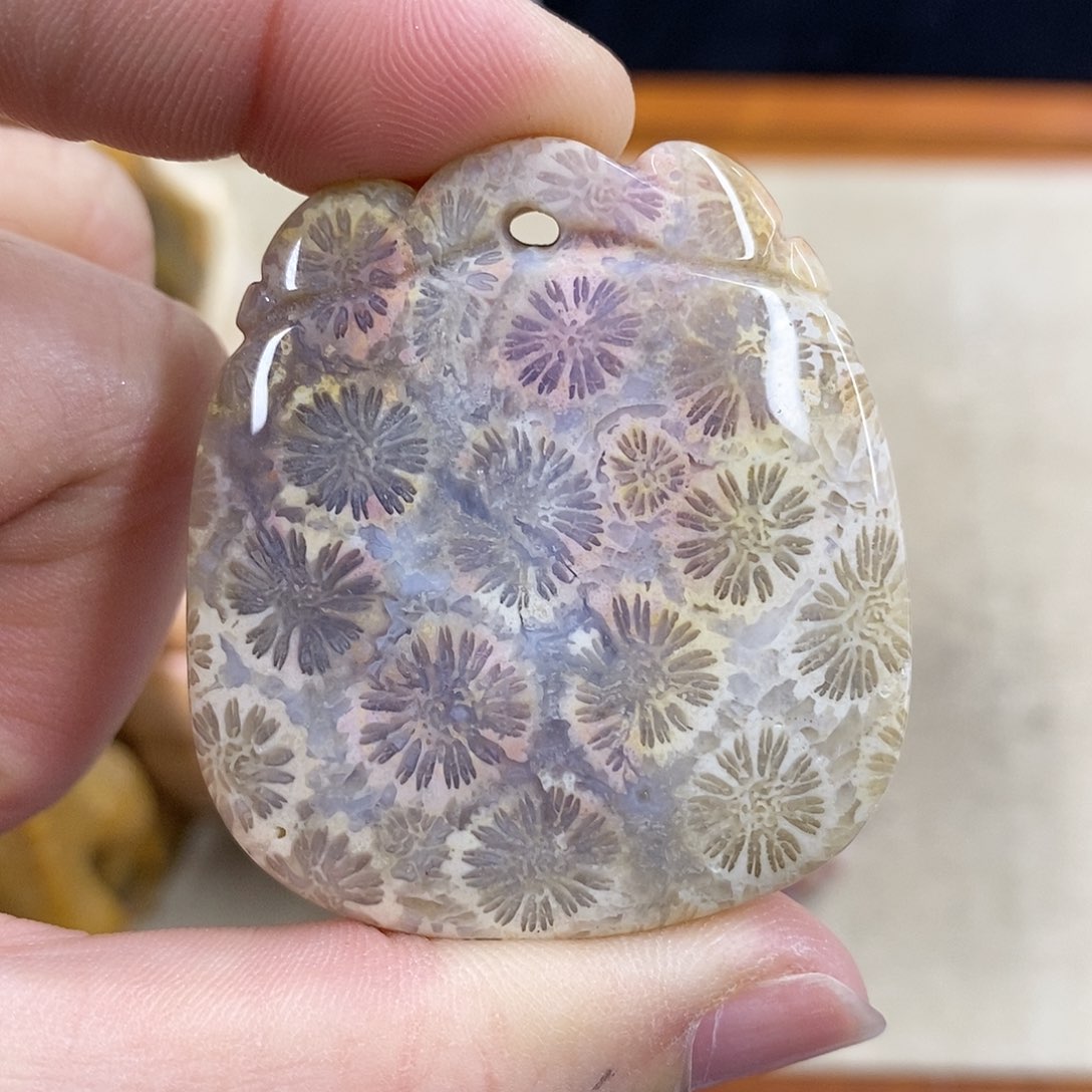 硅化珊瑚（珊瑚玉）1未镶嵌