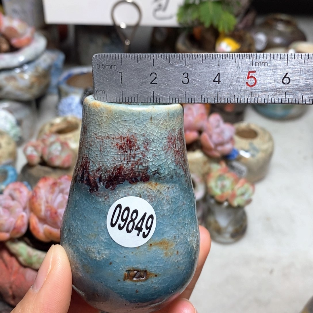 花盆拍5送一个小礼物