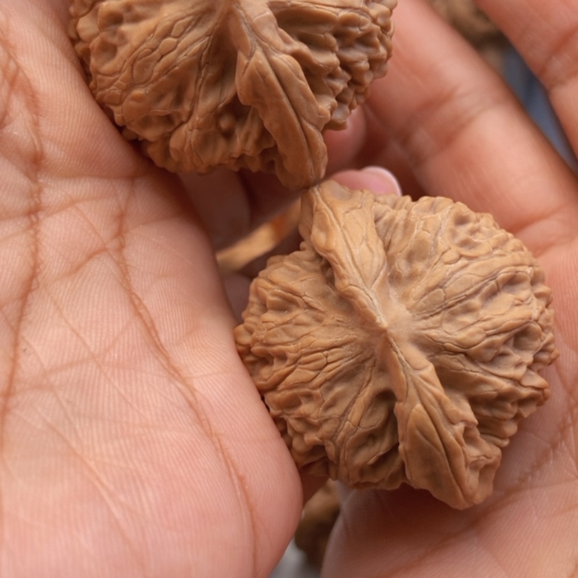 【闪购商品】文玩核桃把件42宫灯全品