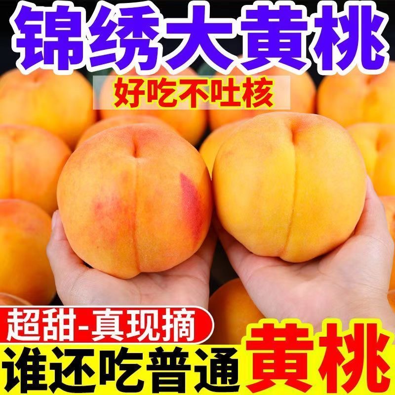 《顺丰包邮》头茬砀山露天桃子毛桃黄桃香甜爆汁现摘现正宗脆甜桃子