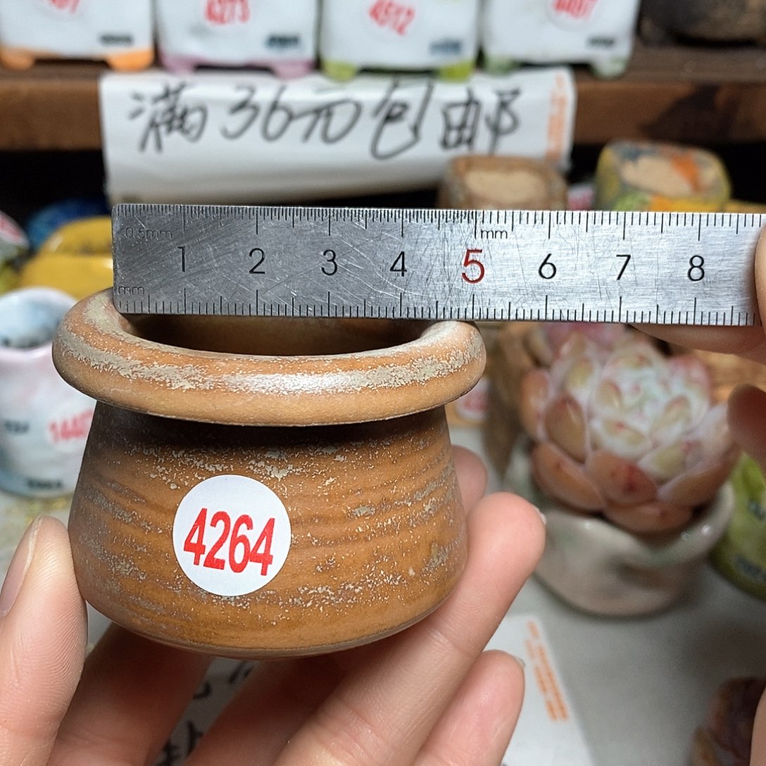 红陶拍5送一个小