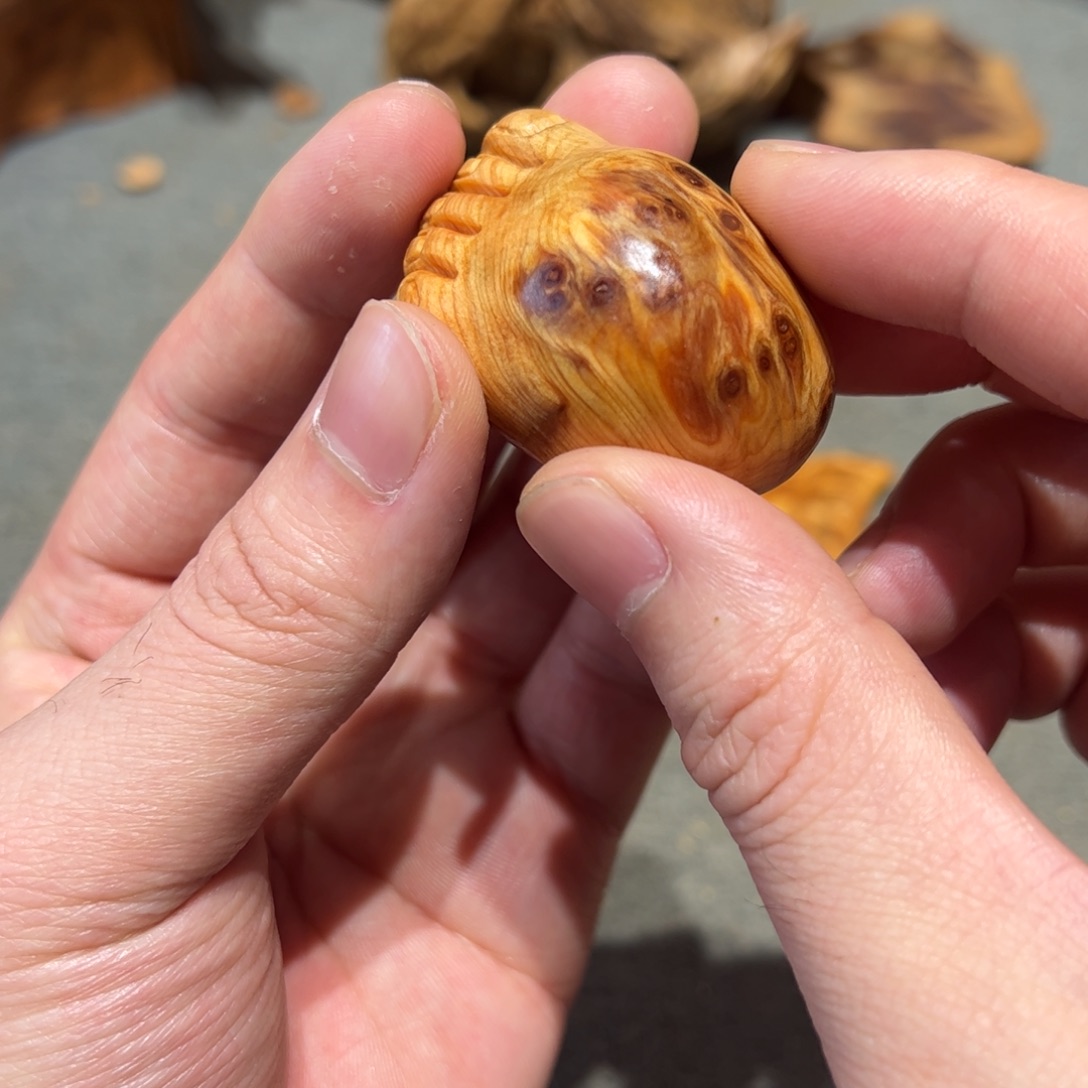 柏木（崖柏）北太行陈化崖柏