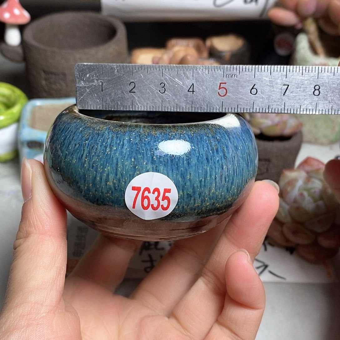 红陶拍5送一个小