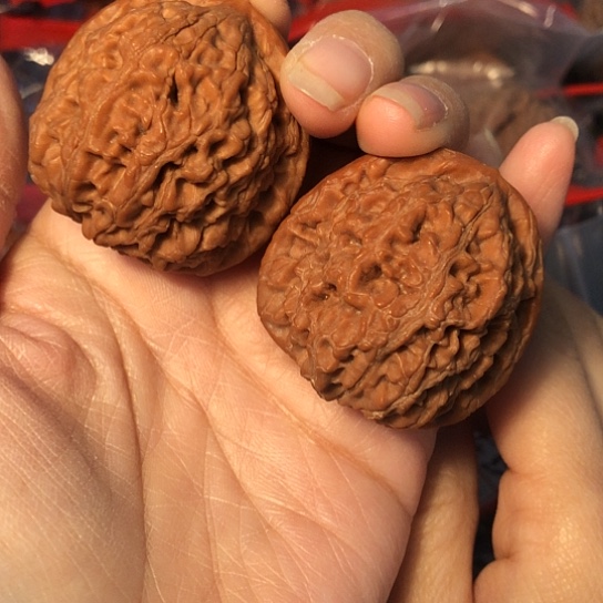 文玩核桃吊坠水龙40