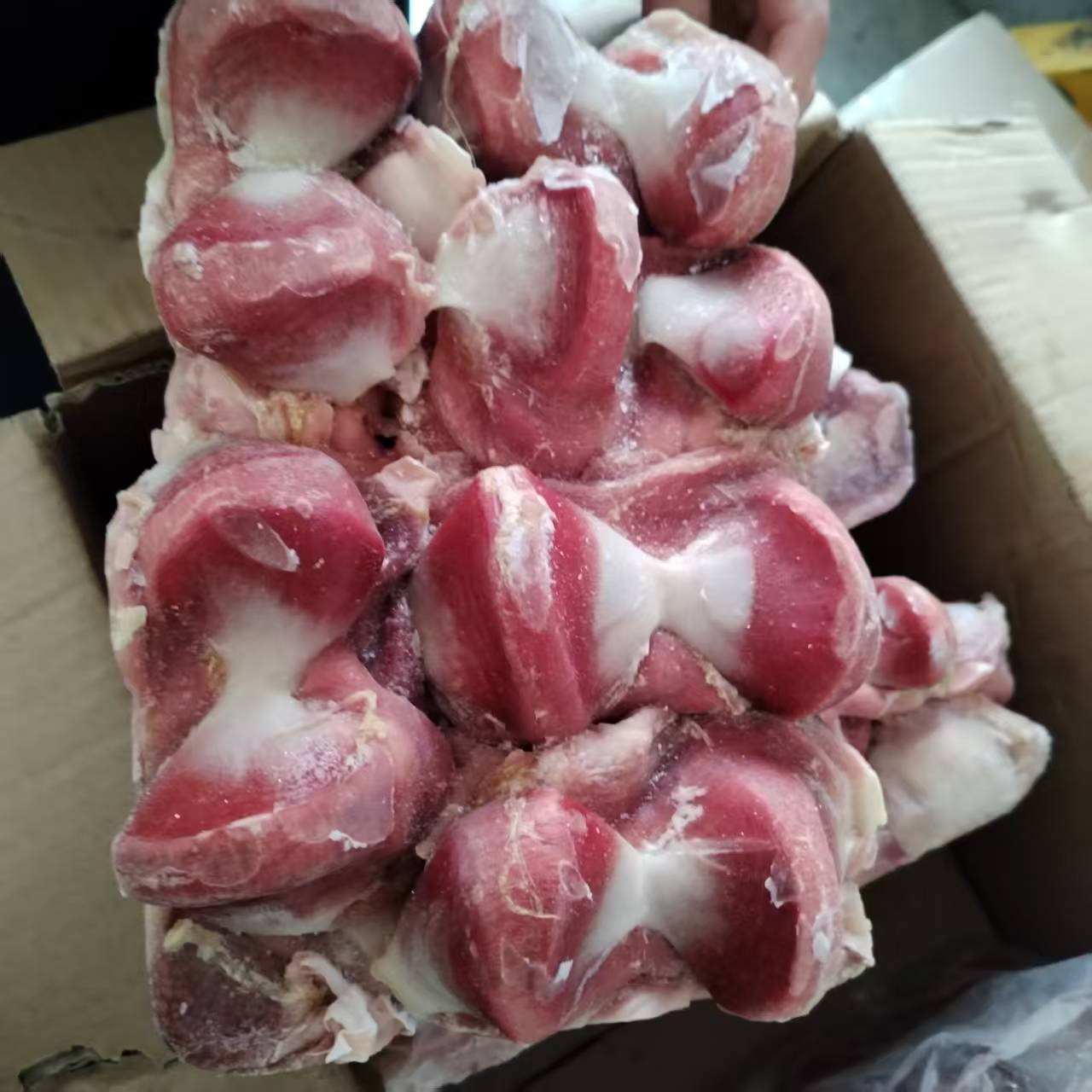 鹅菌20斤一件4包