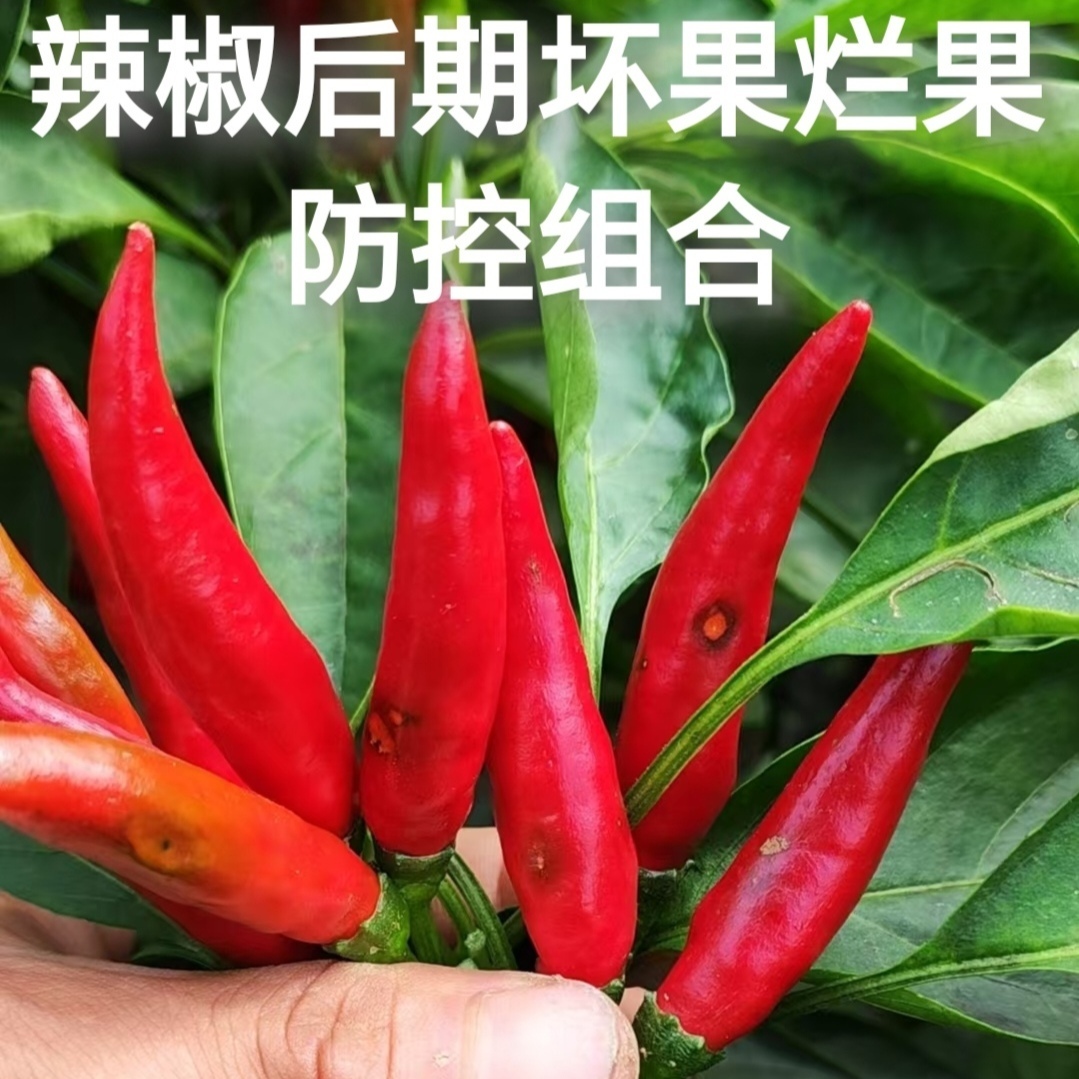 辣椒中后期防控坏果烂果组合（一套10桶水）