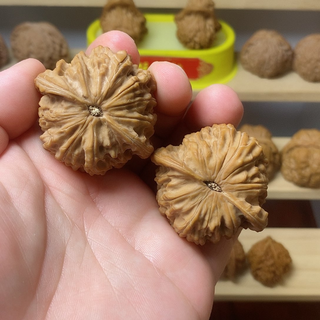 文玩核桃把件鲲*磨盘