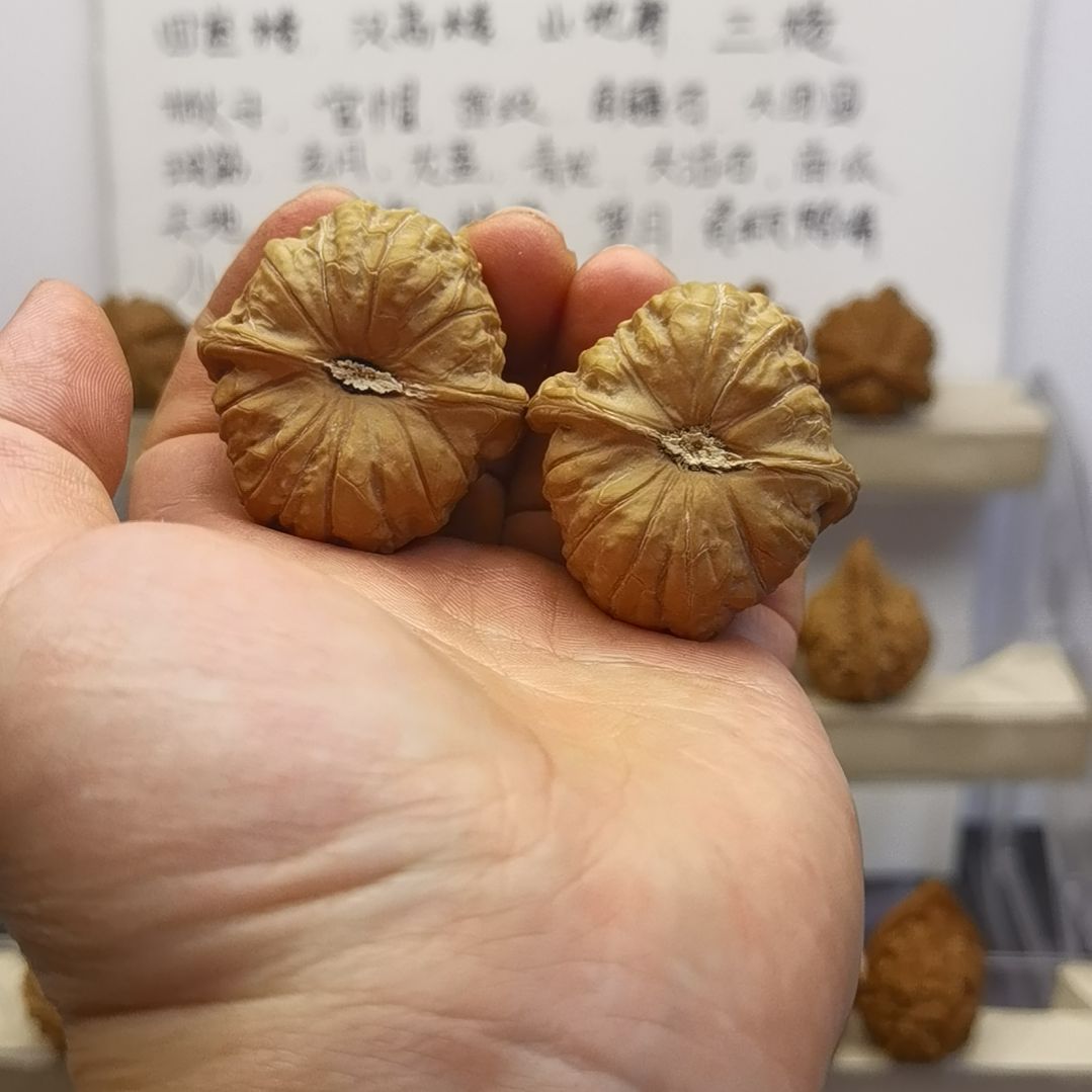 南瓜墩核桃  文玩核桃
