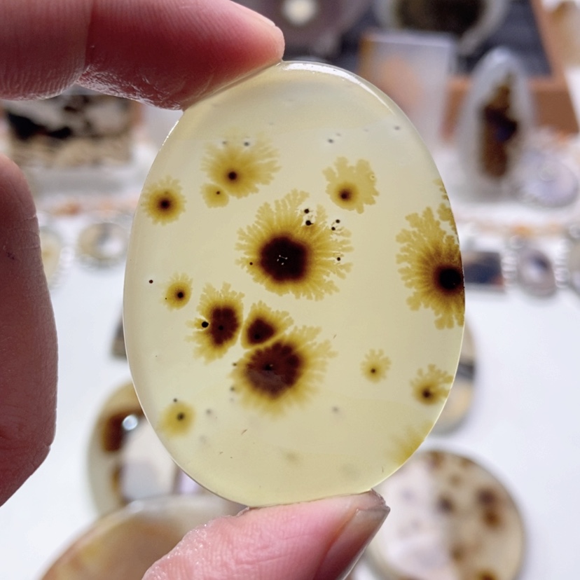 【闪购商品】玛瑙/玉髓颈饰未镶嵌