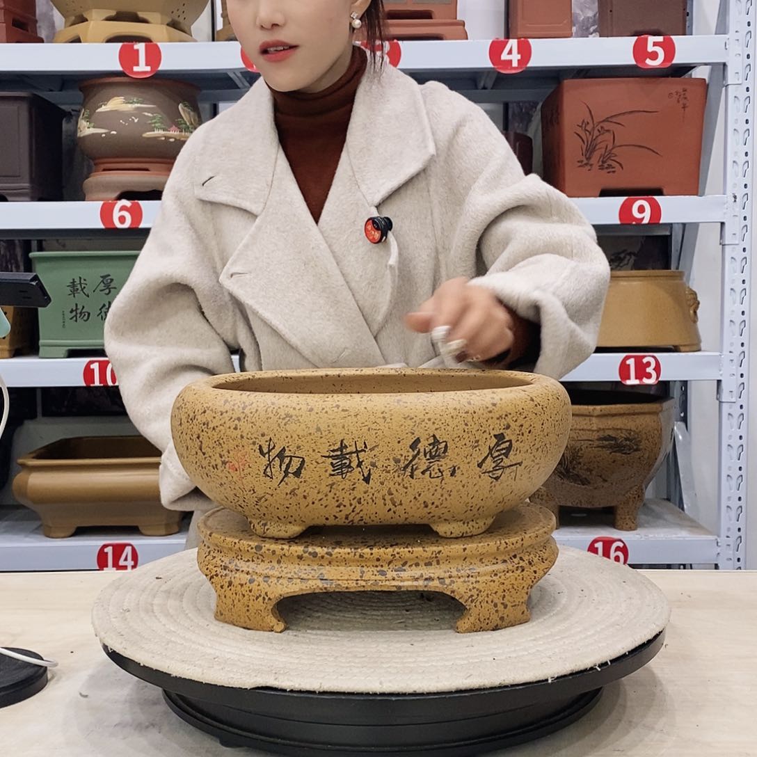 紫砂花盆紫砂花盆