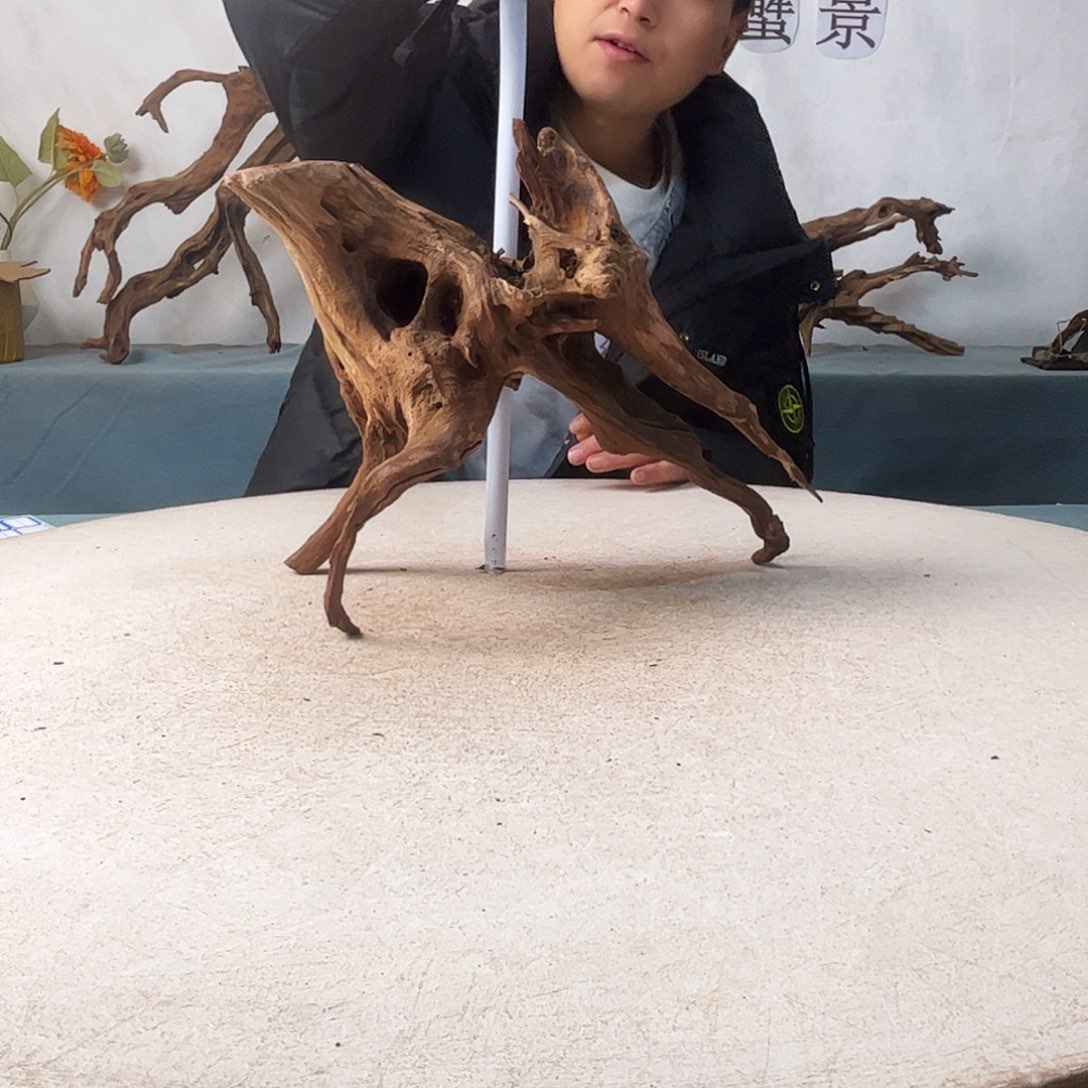 新年快乐沉木造景