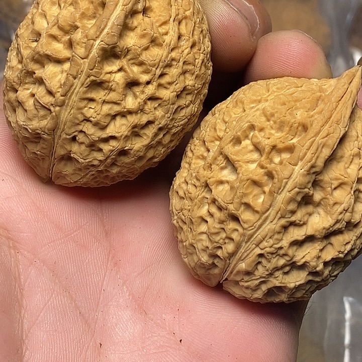 文玩核桃把件云南铁核桃B51