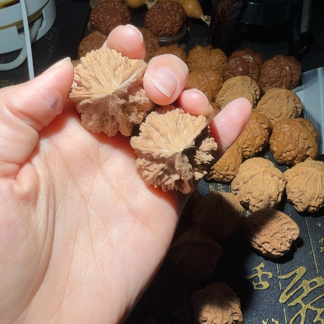 核桃燕山山脉山地文山三棱