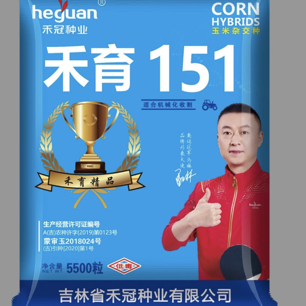 禾育151 玉米杂交种