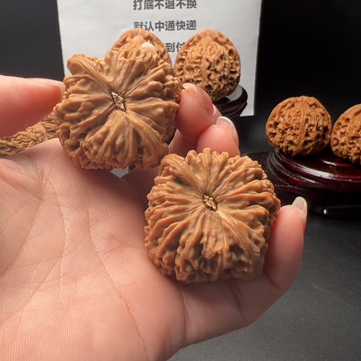 ?*澈34号正高炮老树全品