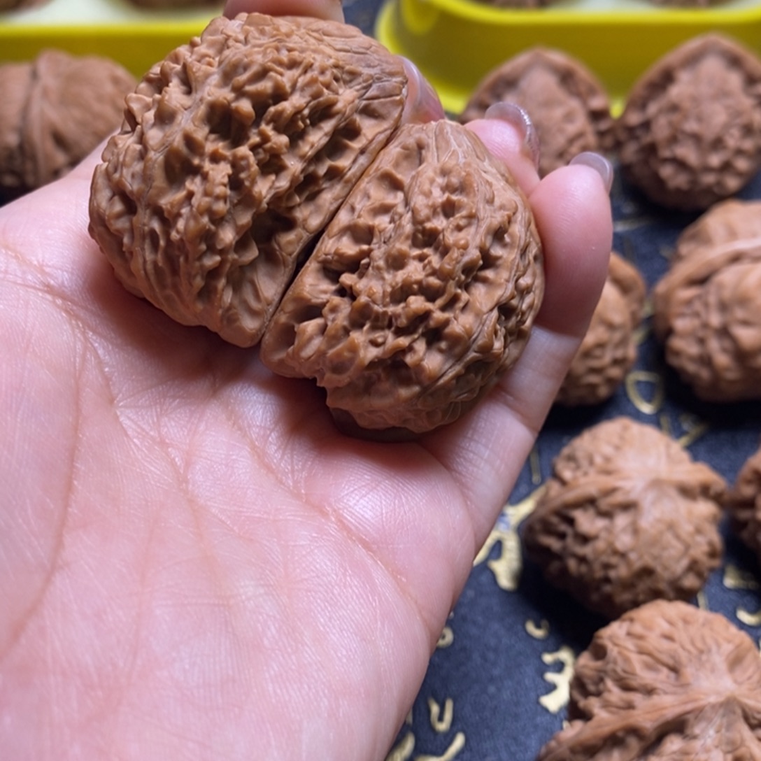 核桃57满天星异性