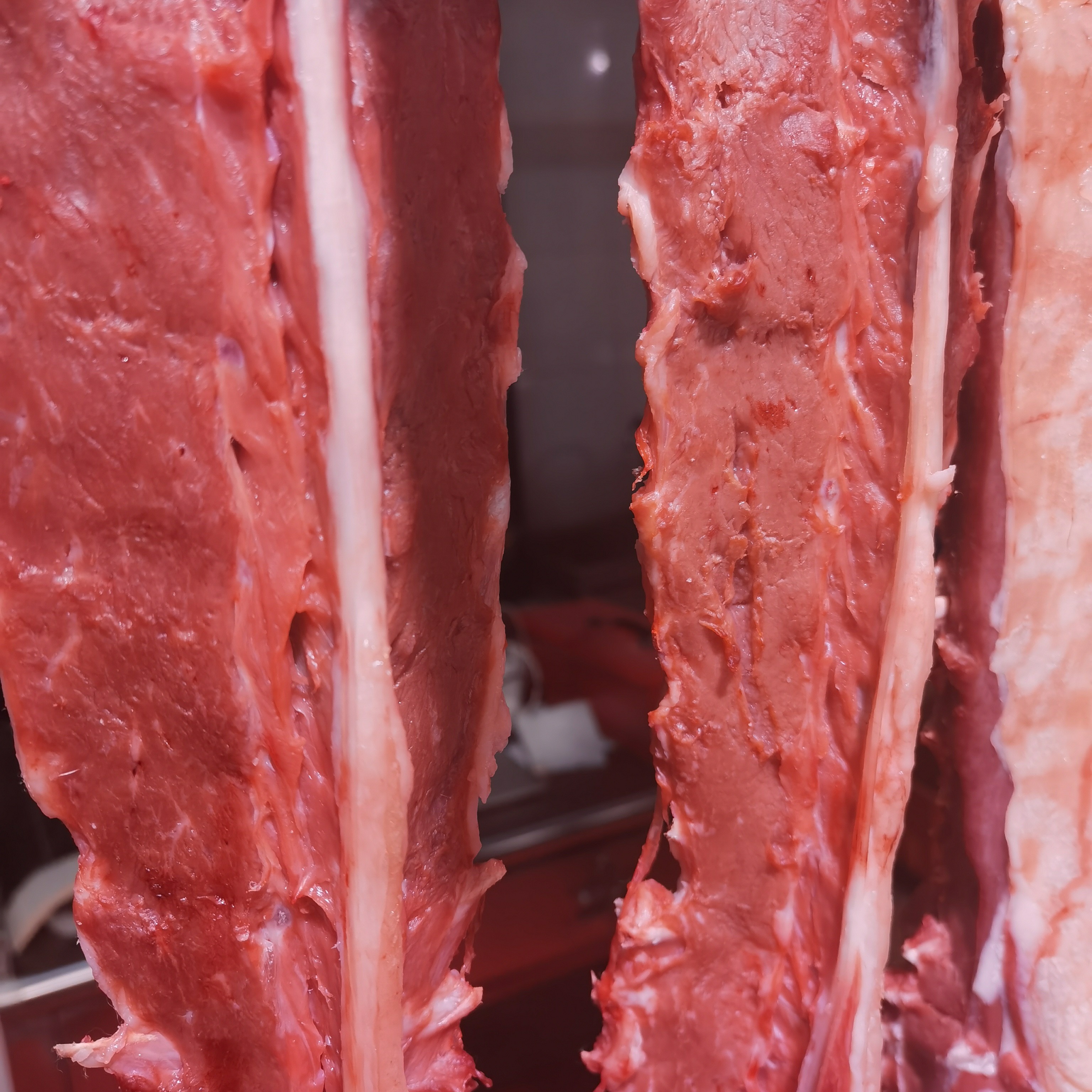 精品羊蝎子一根 7斤