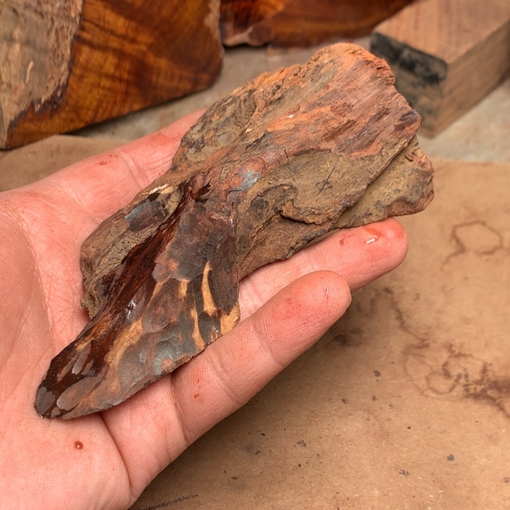 黄花梨/降香黄檀海南黄花梨老料