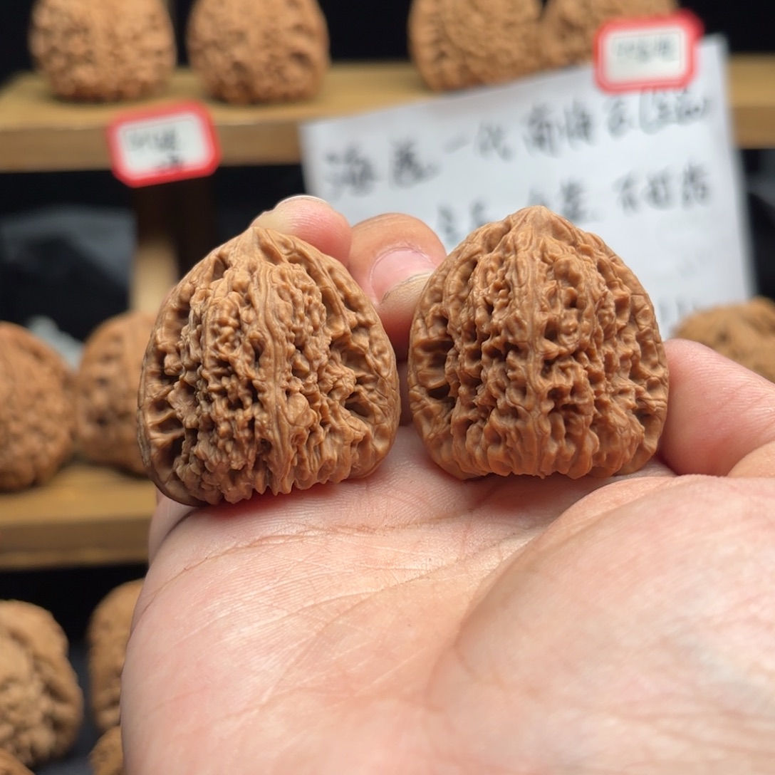 致***笃核桃涿鹿南疆一代