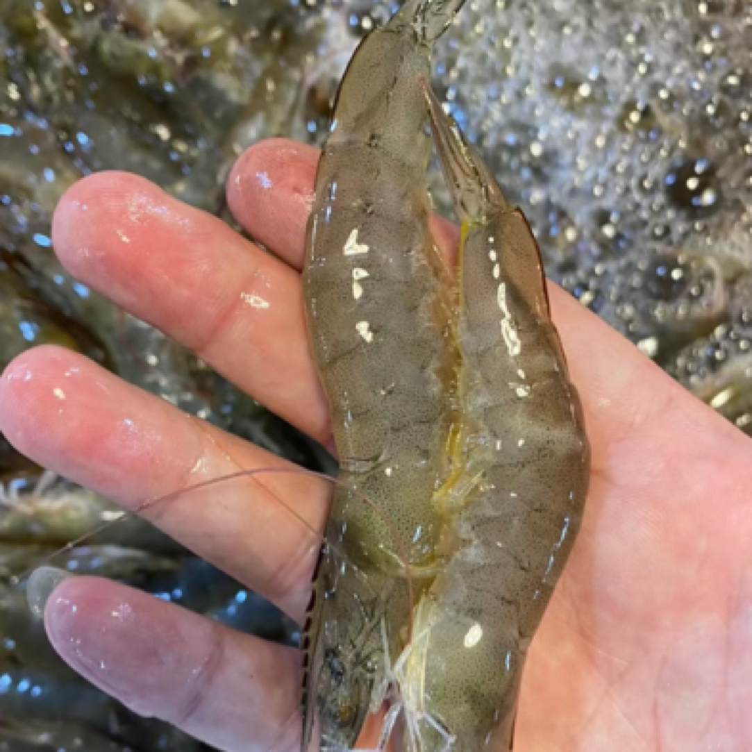 118元4斤特大号基围虾