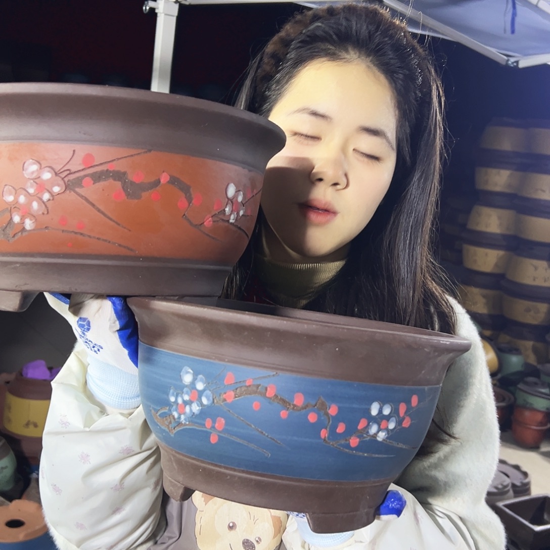 红富贵点菜大+蓝富贵点菜大