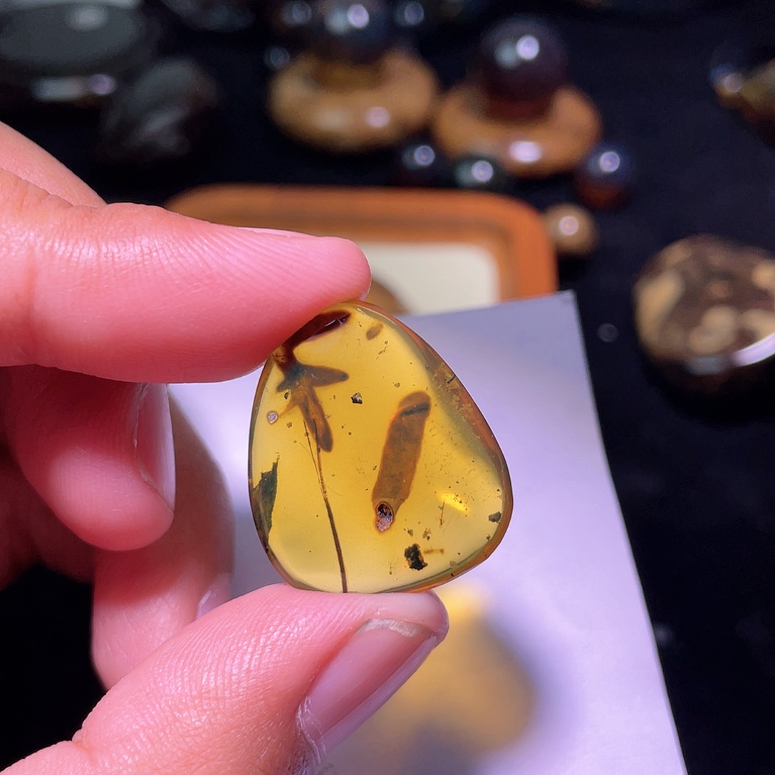 琥珀裸石未镶嵌，